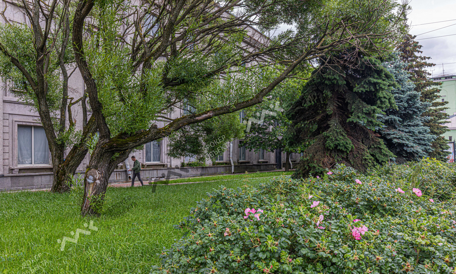 Фото объекта